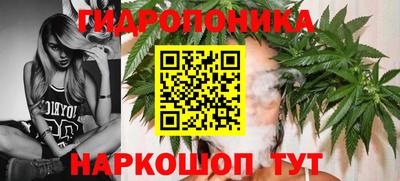 apvp Нальчик