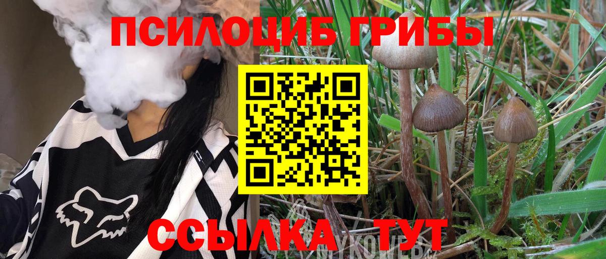Галлюциногенные грибы GOLDEN TEACHER  Вход с VPN  Соль-Илецк 
