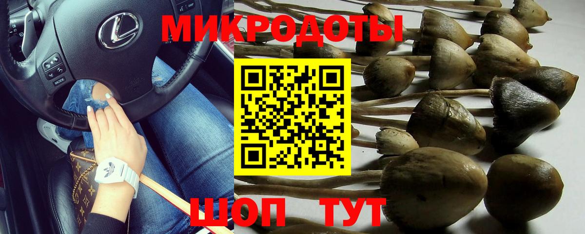 Галлюциногенные грибы ЛСД Соль-Илецк